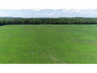 Hopkins County, Kentucky Farmland - LAND AUCTION - 1,879+/- ACRES OFFERED IN 19 INDIVIDUAL TRACTS IN HOPKINS COUNTY, KENTUCKY