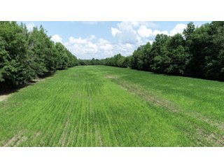 Hopkins County, Kentucky Farmland - LAND AUCTION - 1,879+/- ACRES OFFERED IN 19 INDIVIDUAL TRACTS IN HOPKINS COUNTY, KENTUCKY