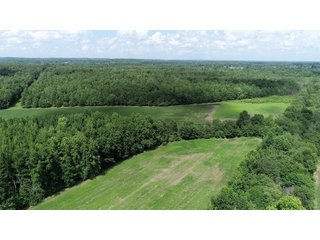 Hopkins County, Kentucky Farmland - LAND AUCTION - 1,879+/- ACRES OFFERED IN 19 INDIVIDUAL TRACTS IN HOPKINS COUNTY, KENTUCKY