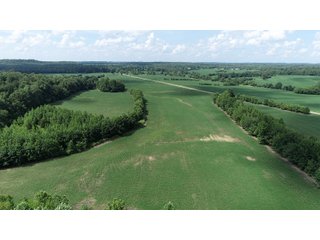 Hopkins County, Kentucky Farmland - LAND AUCTION - 1,879+/- ACRES OFFERED IN 19 INDIVIDUAL TRACTS IN HOPKINS COUNTY, KENTUCKY
