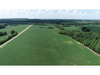 Hopkins County, Kentucky Farmland - LAND AUCTION - 1,879+/- ACRES OFFERED IN 19 INDIVIDUAL TRACTS IN HOPKINS COUNTY, KENTUCKY