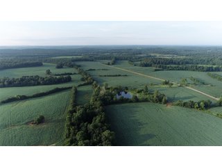Tract 3 in Hopkins County, Kentucky - LAND AUCTION - 1,879+/- ACRES OFFERED IN 19 INDIVIDUAL TRACTS IN HOPKINS COUNTY, KENTUCKY