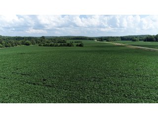 Tract 5 in Hopkins County, Kentucky - LAND AUCTION - 1,879+/- ACRES OFFERED IN 19 INDIVIDUAL TRACTS IN HOPKINS COUNTY, KENTUCKY