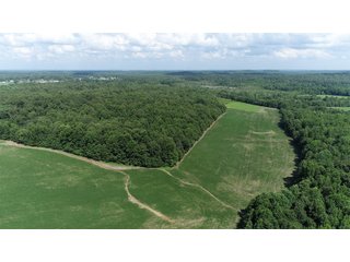 Tract 17 in Hopkins County, Kentucky - LAND AUCTION - 1,879+/- ACRES OFFERED IN 19 INDIVIDUAL TRACTS IN HOPKINS COUNTY, KENTUCKY