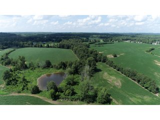 Hopkins County, Kentucky Farmland - LAND AUCTION - 1,879+/- ACRES OFFERED IN 19 INDIVIDUAL TRACTS IN HOPKINS COUNTY, KENTUCKY