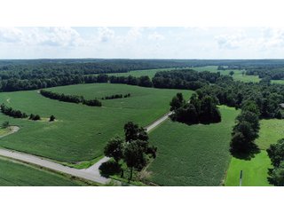 Tracts 9 & 10 in Hopkins County, Kentucky - LAND AUCTION - 1,879+/- ACRES OFFERED IN 19 INDIVIDUAL TRACTS IN HOPKINS COUNTY, KENTUCKY