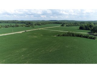 Hopkins County, Kentucky Farmland - LAND AUCTION - 1,879+/- ACRES OFFERED IN 19 INDIVIDUAL TRACTS IN HOPKINS COUNTY, KENTUCKY