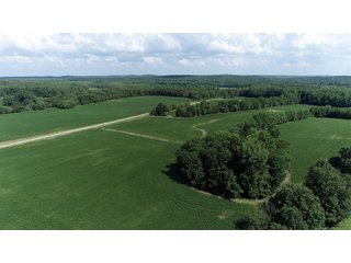 Hopkins County, Kentucky Farmland - LAND AUCTION - 1,879+/- ACRES OFFERED IN 19 INDIVIDUAL TRACTS IN HOPKINS COUNTY, KENTUCKY