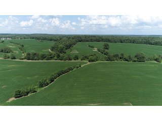 Hopkins County, Kentucky Farmland - LAND AUCTION - 1,879+/- ACRES OFFERED IN 19 INDIVIDUAL TRACTS IN HOPKINS COUNTY, KENTUCKY