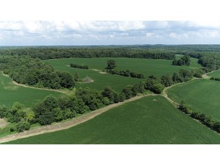 Hopkins County, Kentucky Farmland - LAND AUCTION - 1,879+/- ACRES OFFERED IN 19 INDIVIDUAL TRACTS IN HOPKINS COUNTY, KENTUCKY