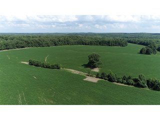 Hopkins County, Kentucky Farmland - LAND AUCTION - 1,879+/- ACRES OFFERED IN 19 INDIVIDUAL TRACTS IN HOPKINS COUNTY, KENTUCKY