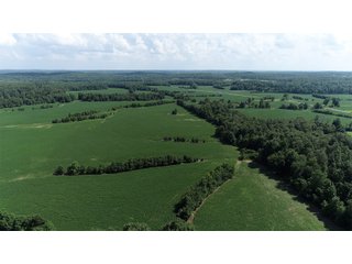 Hopkins County, Kentucky Farmland - LAND AUCTION - 1,879+/- ACRES OFFERED IN 19 INDIVIDUAL TRACTS IN HOPKINS COUNTY, KENTUCKY