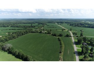 Hopkins County, Kentucky Farmland - LAND AUCTION - 1,879+/- ACRES OFFERED IN 19 INDIVIDUAL TRACTS IN HOPKINS COUNTY, KENTUCKY
