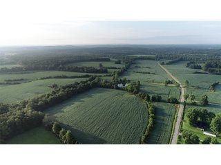 Tracts 12 & 13 in Hopkins County, Kentucky - LAND AUCTION - 1,879+/- ACRES OFFERED IN 19 INDIVIDUAL TRACTS IN HOPKINS COUNTY, KENTUCKY