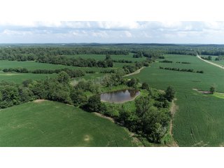 Hopkins County, Kentucky Farmland - LAND AUCTION - 1,879+/- ACRES OFFERED IN 19 INDIVIDUAL TRACTS IN HOPKINS COUNTY, KENTUCKY