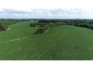 Hopkins County, Kentucky Farmland - LAND AUCTION - 1,879+/- ACRES OFFERED IN 19 INDIVIDUAL TRACTS IN HOPKINS COUNTY, KENTUCKY
