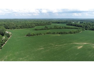 Hopkins County, Kentucky Farmland - LAND AUCTION - 1,879+/- ACRES OFFERED IN 19 INDIVIDUAL TRACTS IN HOPKINS COUNTY, KENTUCKY