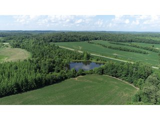 Hopkins County, Kentucky Farmland - LAND AUCTION - 1,879+/- ACRES OFFERED IN 19 INDIVIDUAL TRACTS IN HOPKINS COUNTY, KENTUCKY