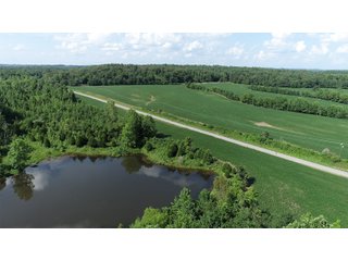 Tract 11 in Hopkins County, Kentucky - LAND AUCTION - 1,879+/- ACRES OFFERED IN 19 INDIVIDUAL TRACTS IN HOPKINS COUNTY, KENTUCKY