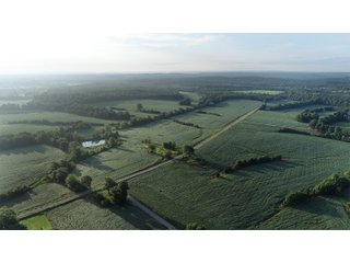 Hopkins County, Kentucky Farmland - LAND AUCTION - 1,879+/- ACRES OFFERED IN 19 INDIVIDUAL TRACTS IN HOPKINS COUNTY, KENTUCKY