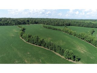 Hopkins County, Kentucky Farmland - LAND AUCTION - 1,879+/- ACRES OFFERED IN 19 INDIVIDUAL TRACTS IN HOPKINS COUNTY, KENTUCKY