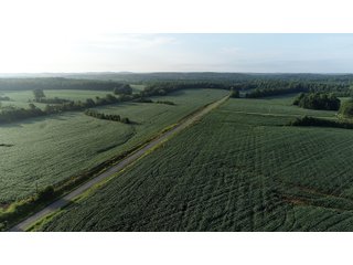 Tracts 12 & 13 in Hopkins County, Kentucky - LAND AUCTION - 1,879+/- ACRES OFFERED IN 19 INDIVIDUAL TRACTS IN HOPKINS COUNTY, KENTUCKY