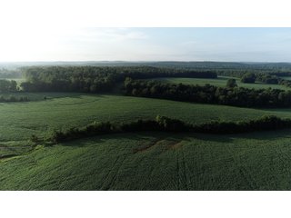Hopkins County, Kentucky Farmland - LAND AUCTION - 1,879+/- ACRES OFFERED IN 19 INDIVIDUAL TRACTS IN HOPKINS COUNTY, KENTUCKY