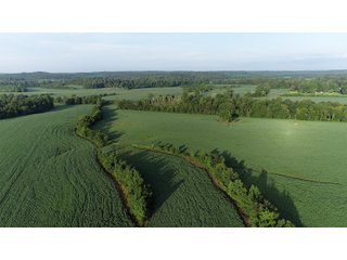 Tracts 12 & 13 in Hopkins County, Kentucky - LAND AUCTION - 1,879+/- ACRES OFFERED IN 19 INDIVIDUAL TRACTS IN HOPKINS COUNTY, KENTUCKY