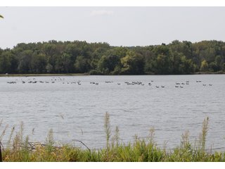 Bureau County, Illinois Land - VIRTUAL REAL ESTATE AUCTION - 372+/- ACRES IN 10 TRACTS IN BUREAU COUNTY, ILLINOIS