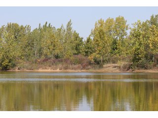 Bureau County, Illinois Land - VIRTUAL REAL ESTATE AUCTION - 372+/- ACRES IN 10 TRACTS IN BUREAU COUNTY, ILLINOIS