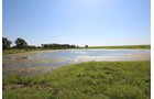 Property photo 61 - LAND AUCTION - 5,778+/-ACRES OFFERED IN 21 TRACTS IN OKMULGEE COUNTY, OKLAHOMA