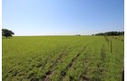 Property photo 63 - LAND AUCTION - 5,778+/-ACRES OFFERED IN 21 TRACTS IN OKMULGEE COUNTY, OKLAHOMA