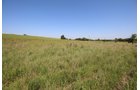 Property photo 64 - LAND AUCTION - 5,778+/-ACRES OFFERED IN 21 TRACTS IN OKMULGEE COUNTY, OKLAHOMA
