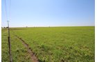 Property photo 65 - LAND AUCTION - 5,778+/-ACRES OFFERED IN 21 TRACTS IN OKMULGEE COUNTY, OKLAHOMA