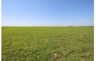 Property photo 57 - LAND AUCTION - 5,778+/-ACRES OFFERED IN 21 TRACTS IN OKMULGEE COUNTY, OKLAHOMA