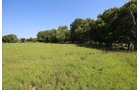 Property photo 69 - LAND AUCTION - 5,778+/-ACRES OFFERED IN 21 TRACTS IN OKMULGEE COUNTY, OKLAHOMA