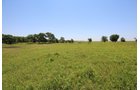 Property photo 70 - LAND AUCTION - 5,778+/-ACRES OFFERED IN 21 TRACTS IN OKMULGEE COUNTY, OKLAHOMA