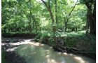 Property photo 74 - LAND AUCTION - 5,778+/-ACRES OFFERED IN 21 TRACTS IN OKMULGEE COUNTY, OKLAHOMA