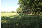 Property photo 75 - LAND AUCTION - 5,778+/-ACRES OFFERED IN 21 TRACTS IN OKMULGEE COUNTY, OKLAHOMA