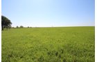 Property photo 66 - LAND AUCTION - 5,778+/-ACRES OFFERED IN 21 TRACTS IN OKMULGEE COUNTY, OKLAHOMA