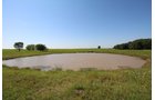 Property photo 46 - LAND AUCTION - 5,778+/-ACRES OFFERED IN 21 TRACTS IN OKMULGEE COUNTY, OKLAHOMA