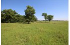 Property photo 41 - LAND AUCTION - 5,778+/-ACRES OFFERED IN 21 TRACTS IN OKMULGEE COUNTY, OKLAHOMA
