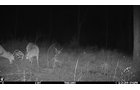 Property photo 40 - LAND AUCTION - 5,778+/-ACRES OFFERED IN 21 TRACTS IN OKMULGEE COUNTY, OKLAHOMA