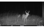 Property photo 49 - LAND AUCTION - 5,778+/-ACRES OFFERED IN 21 TRACTS IN OKMULGEE COUNTY, OKLAHOMA