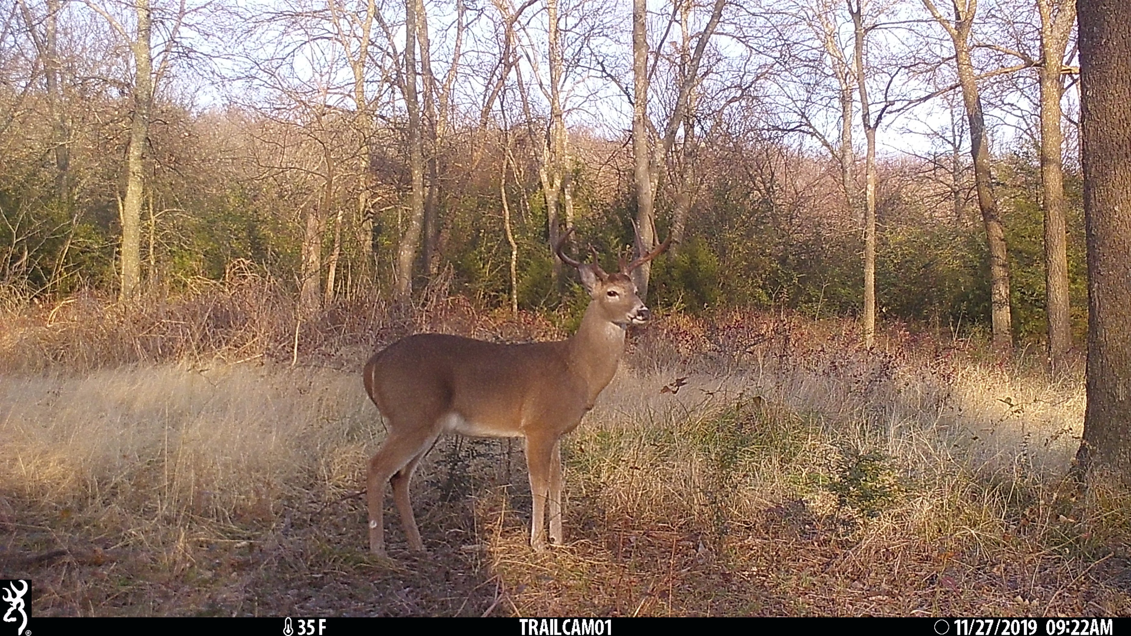 Property photo 50 - LAND AUCTION - 5,778+/-ACRES OFFERED IN 21 TRACTS IN OKMULGEE COUNTY, OKLAHOMA