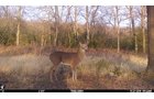 Property photo 50 - LAND AUCTION - 5,778+/-ACRES OFFERED IN 21 TRACTS IN OKMULGEE COUNTY, OKLAHOMA