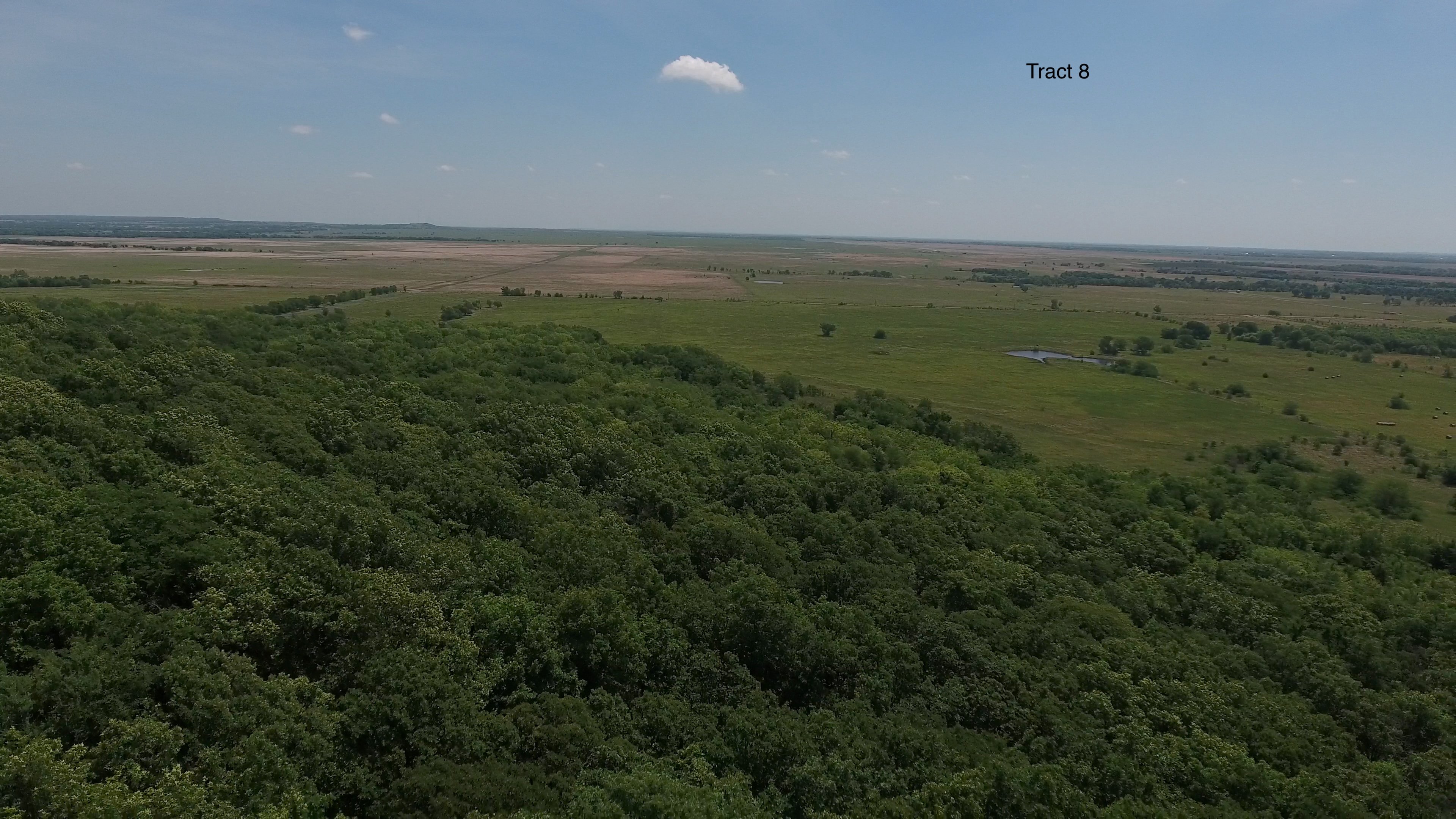 Property photo 6 - LAND AUCTION - 5,778+/-ACRES OFFERED IN 21 TRACTS IN OKMULGEE COUNTY, OKLAHOMA