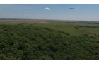 Property photo 6 - LAND AUCTION - 5,778+/-ACRES OFFERED IN 21 TRACTS IN OKMULGEE COUNTY, OKLAHOMA