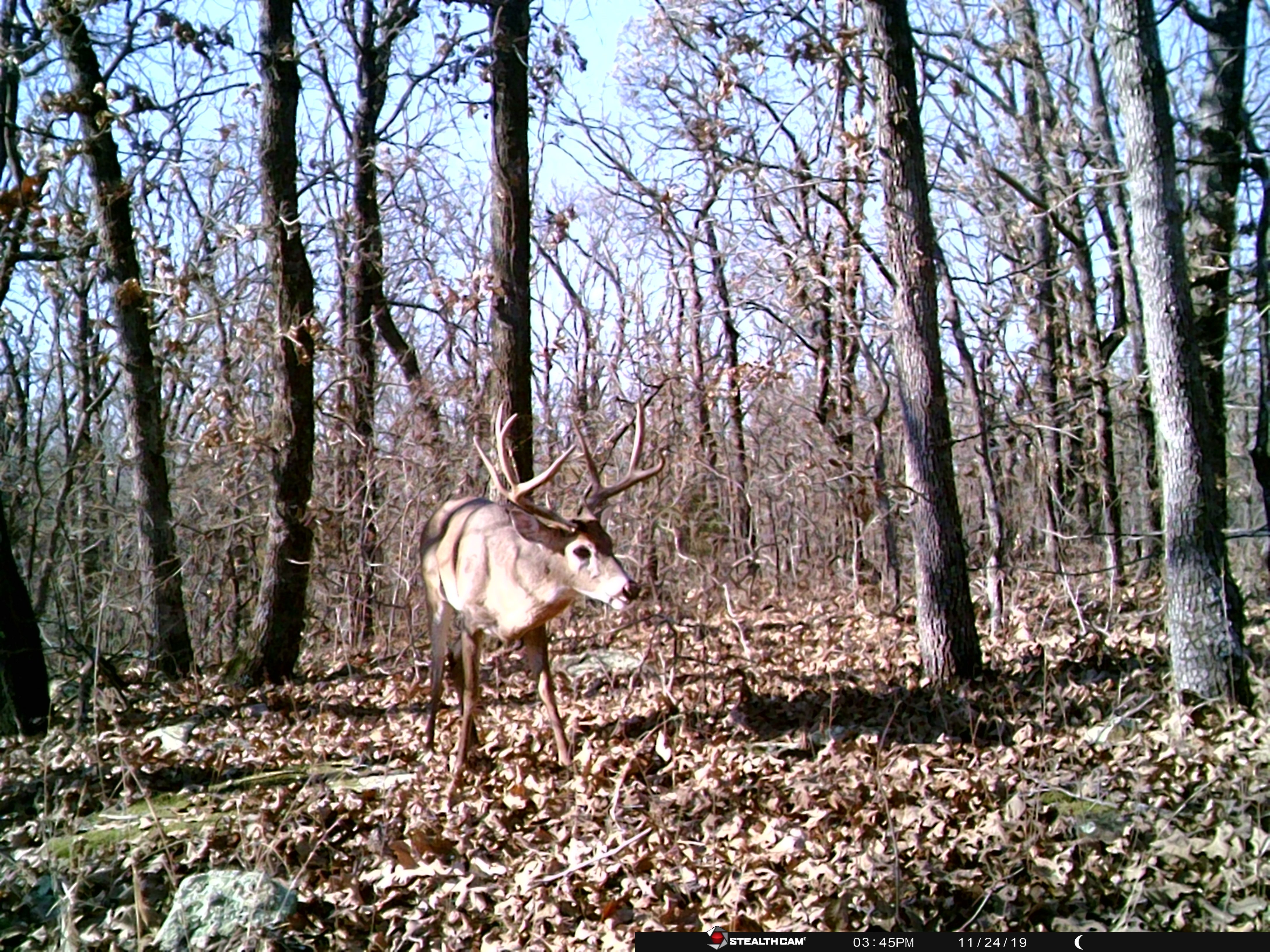 Property photo 54 - LAND AUCTION - 5,778+/-ACRES OFFERED IN 21 TRACTS IN OKMULGEE COUNTY, OKLAHOMA