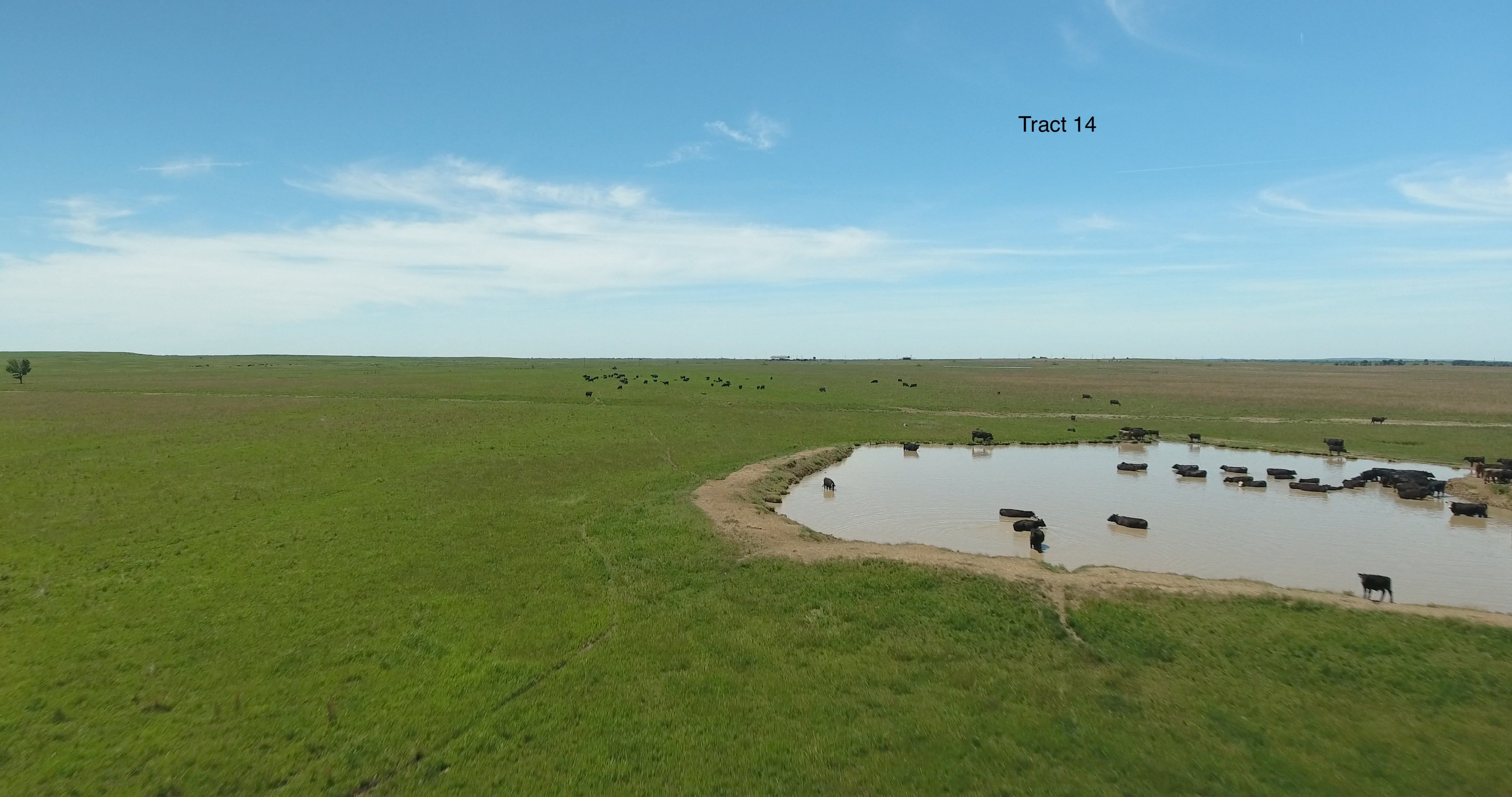 Property photo 26 - LAND AUCTION - 5,778+/-ACRES OFFERED IN 21 TRACTS IN OKMULGEE COUNTY, OKLAHOMA